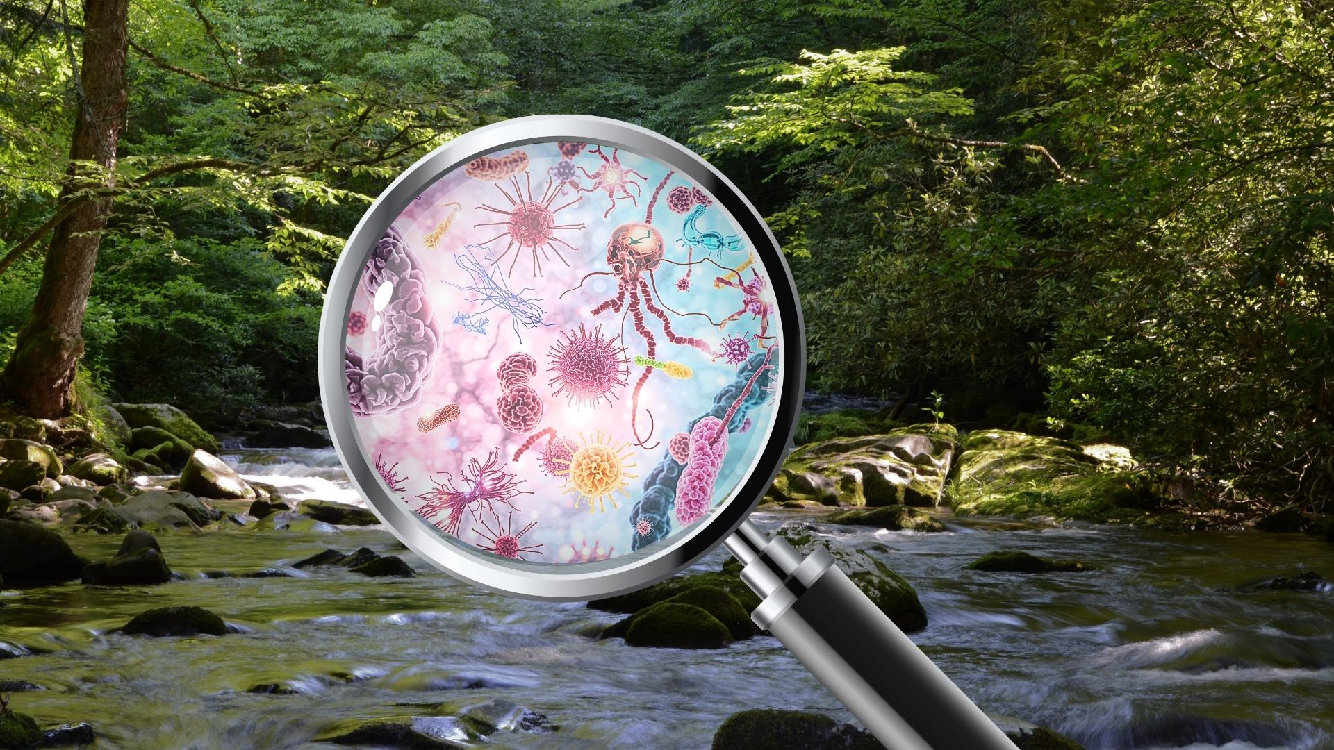 New study uncovers environmental drivers of Superbugs in Indian tribal communities